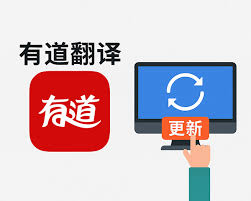 如何在有道翻译中查看单词的搭配词典？