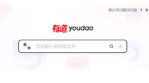 怎样把有道翻译的查词记录导出为Anki记忆卡片？