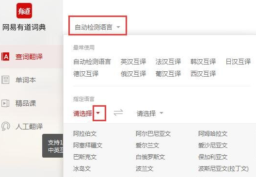 有道如何翻译图片英文？