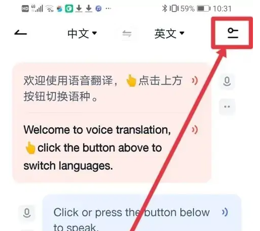 苹果手机有道翻译自动发音关闭指南：图书馆安静模式设置