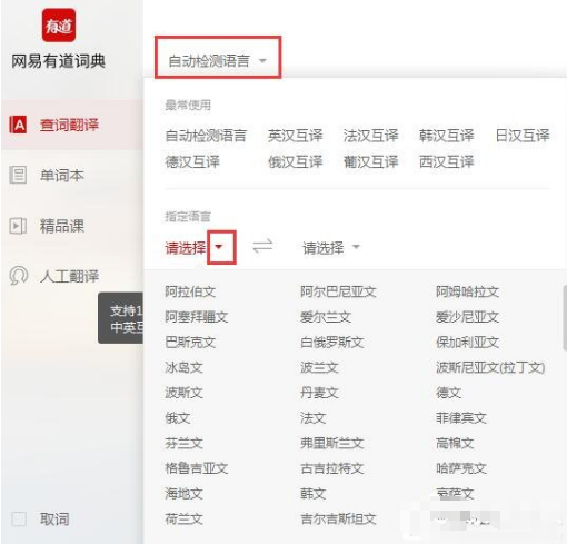 为什么有道翻译弹不出？