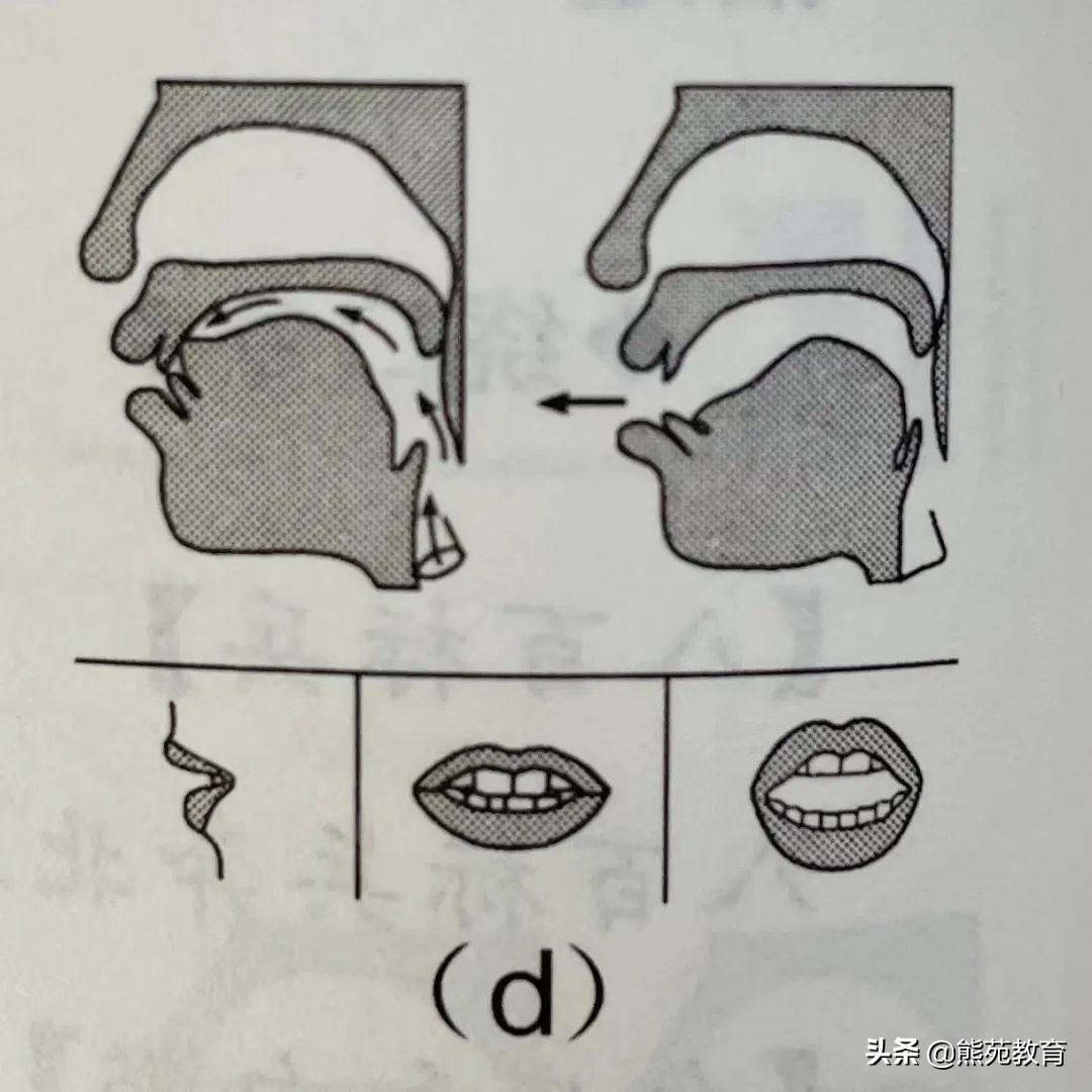 “有道翻译蛋准儿”发音训练：儿童英语腔调矫正指南