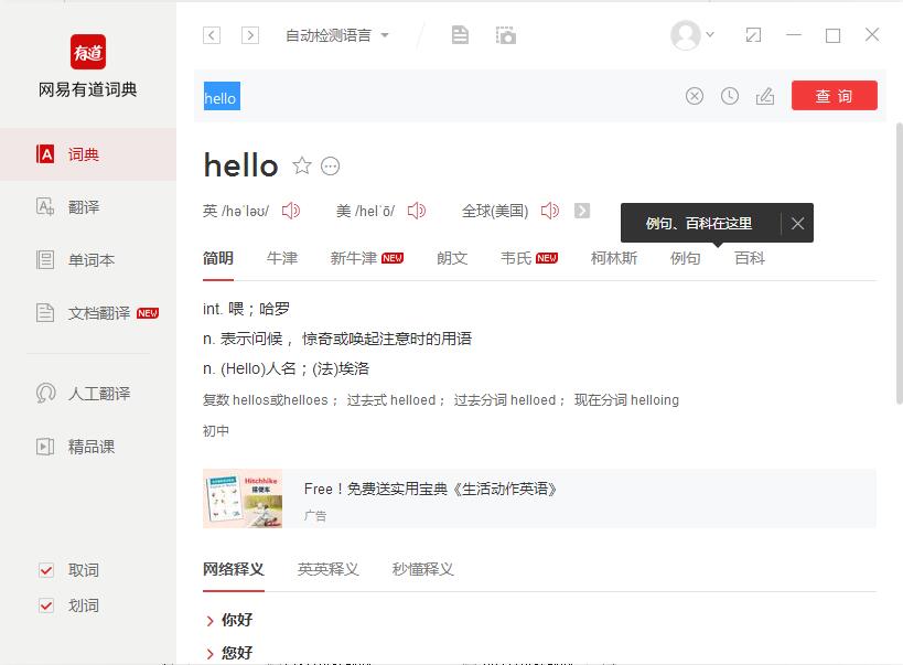 《有道翻译终极使用指南：从入门到精通 (2024最新版)》