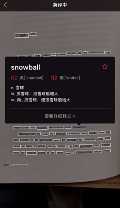 有道语音翻译怎么设置？从入门到精通的完整操作指南